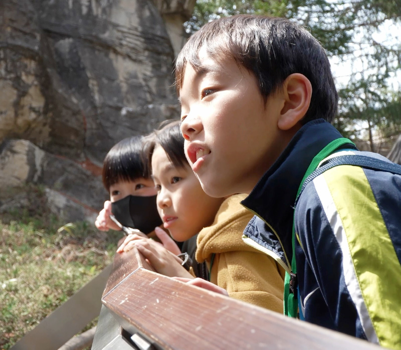 動物を見つめながら、生きものの魅力や命のつながりに興味を持つ子どもたち。